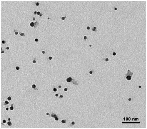 Method for preparing high-efficiency bacteriostatic agent from reed leaf extract