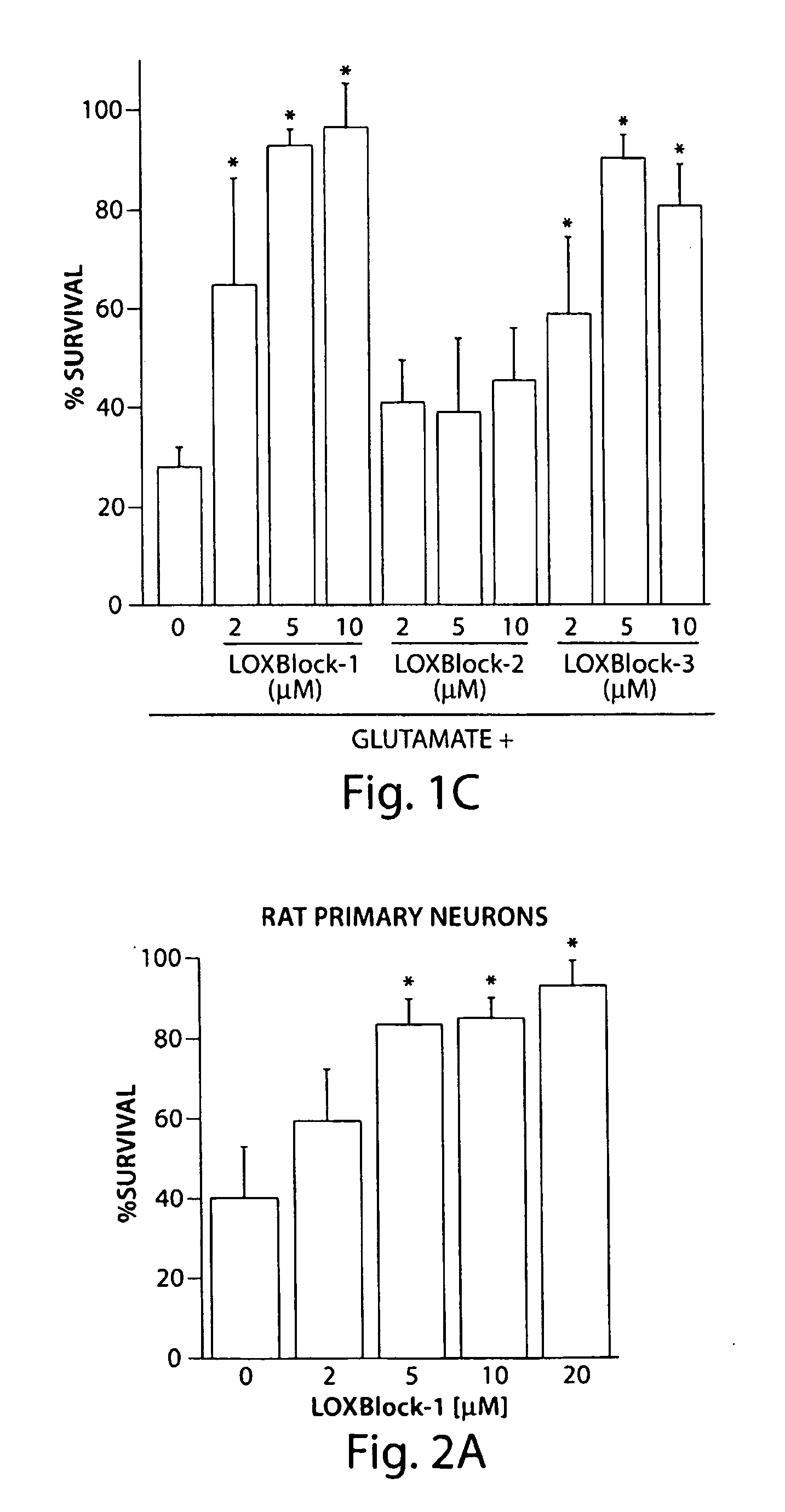 Novel lipoxygenase inhibitors as neuroprotective agents