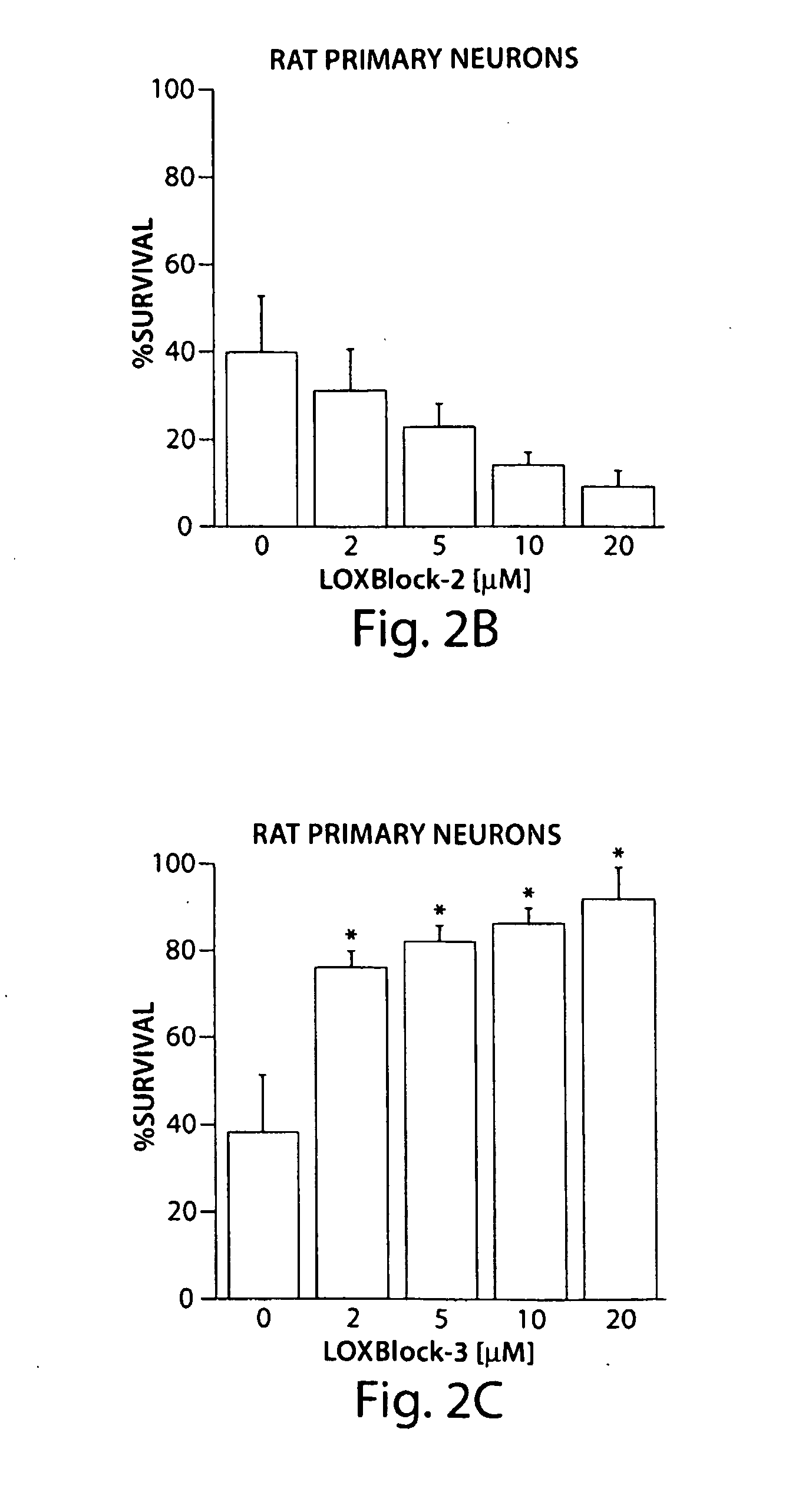 Novel lipoxygenase inhibitors as neuroprotective agents