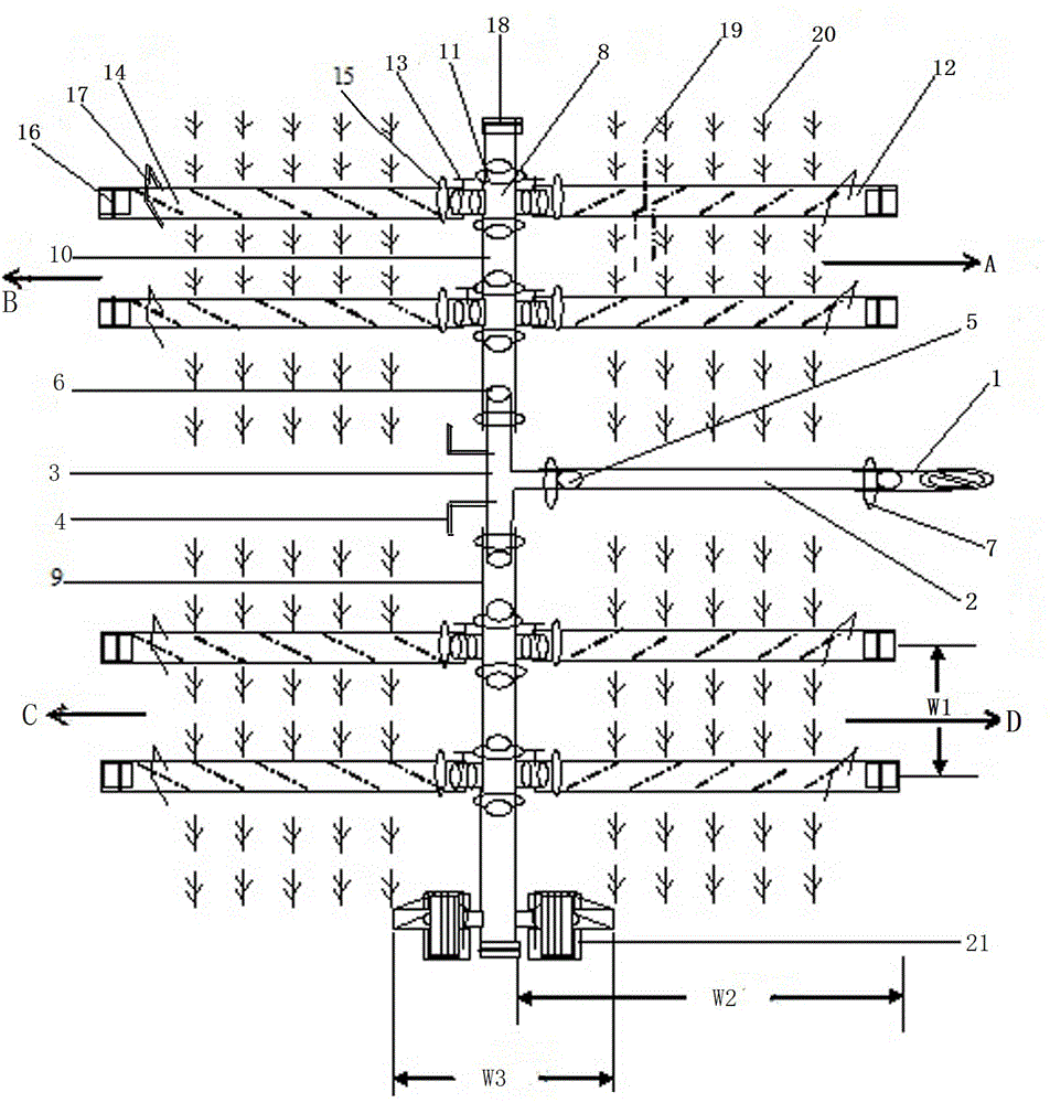 Narrow-row-spacing drilling close planting crop micro-spraying hose efficient sprinkling irrigation method