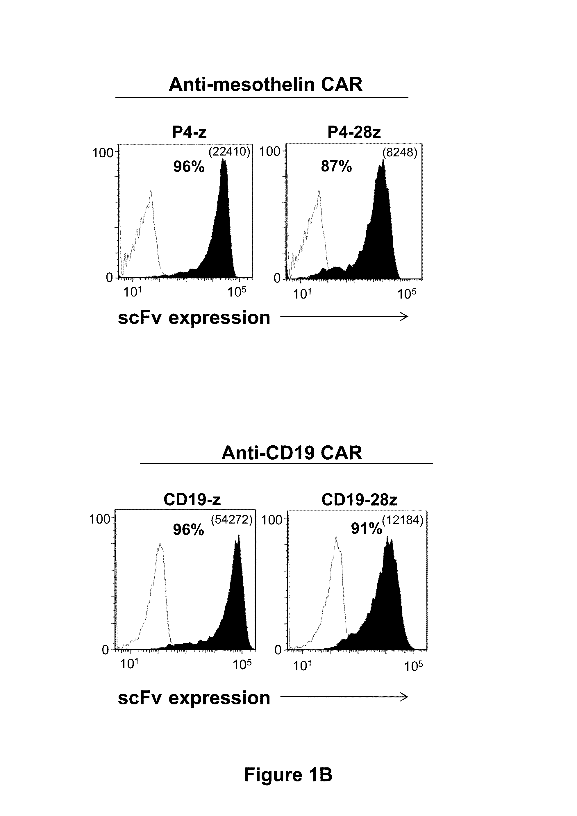 Fully human, anti-mesothelin specific chimeric immune receptor for redirected mesothelin-expressing cell targeting