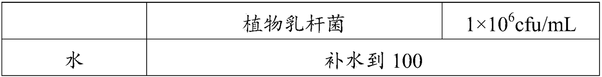 Double-fermentation fermented milk and preparation method thereof