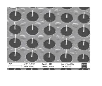 CNT (carbon nano tube) field emission array with current limiting transistors and preparation thereof