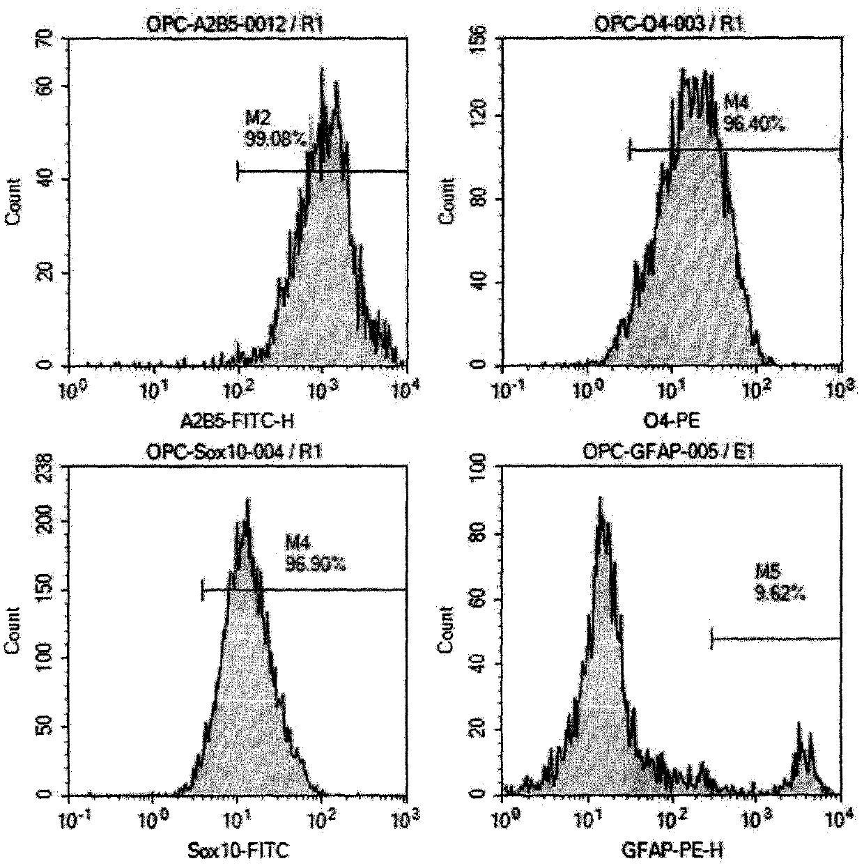 A preparation method, kit and application of human oligodendrocyte progenitor cells that inhibit secondary nerve injury