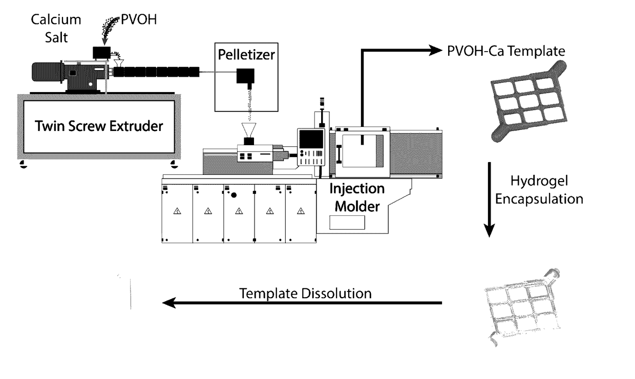 Sacrificial Templates Comprising a Hydrogel Cross-linking Agent and Their Use for Customization of Hydrogel Architecture