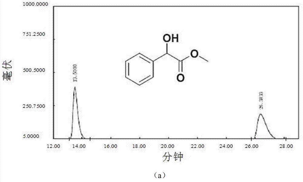 Preparation method of single chiral metal-organic framework material with chiral separation and photoinduction functions