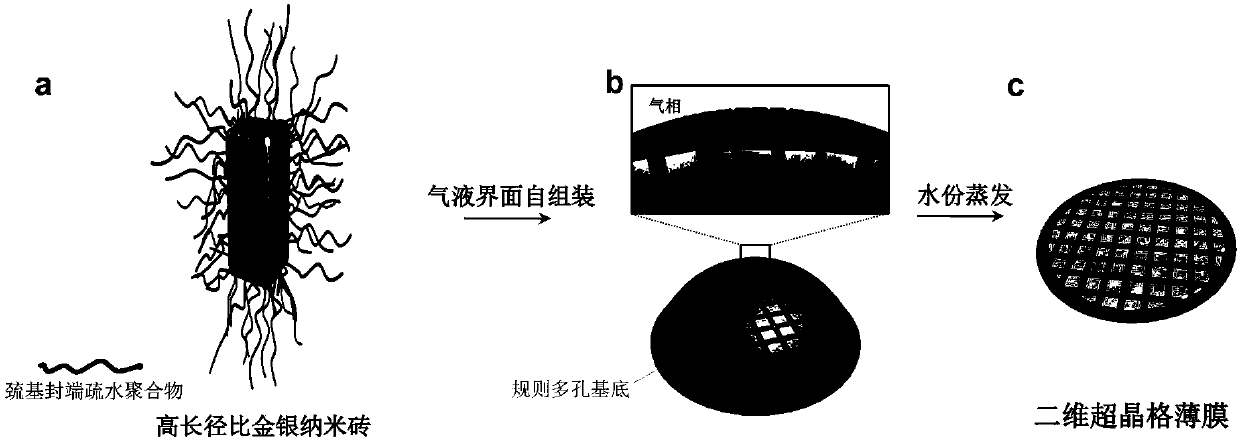 Two-dimensional flexible precious metal nanoparticle superlattice film and construction method and application thereof