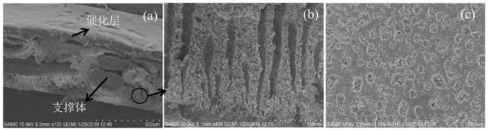 Integrated membrane electrode and preparation method and application thereof