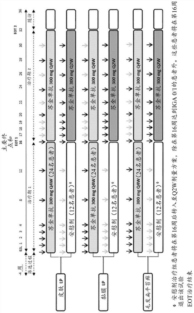 Methods of treating lichen planus using interleukin-17 (IL-17) antagonists