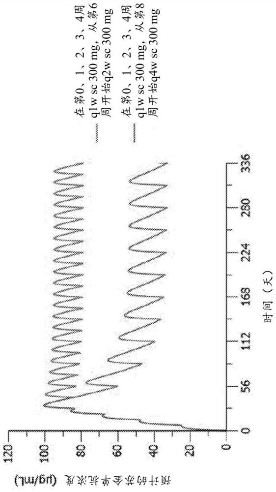 Methods of treating lichen planus using interleukin-17 (IL-17) antagonists