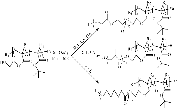 PH response/hydrophobic group random copolymerization polymer, and preparation method and application thereof