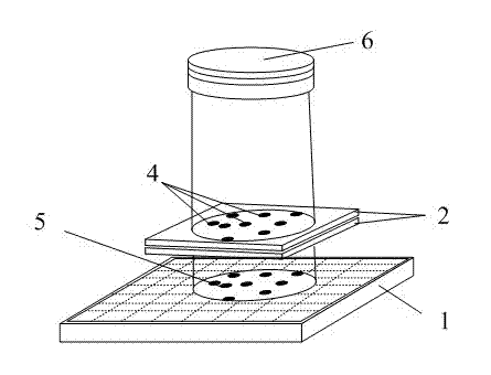 Lensless microscopic imaging method based on optical projection and device thereof