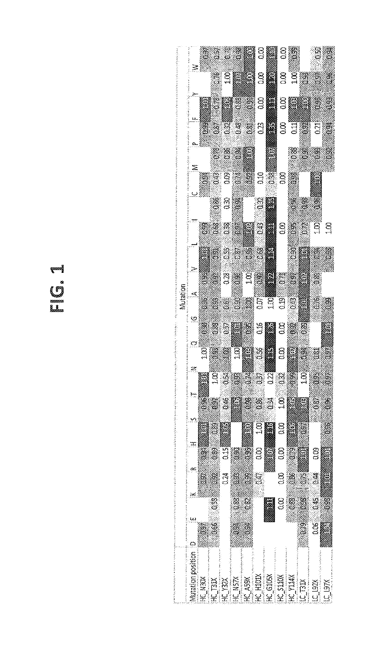 Humanized or chimeric cd3 antibodies