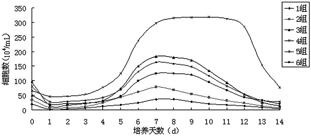 Isolation and primary culture methods of chicken small intestinal epithelial cells