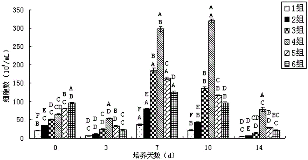 Isolation and primary culture methods of chicken small intestinal epithelial cells