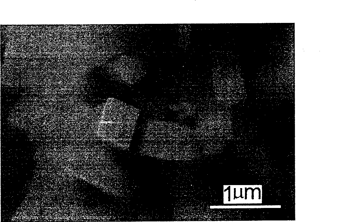 Particle appearance regulatory lithium iron phosphate preparation method