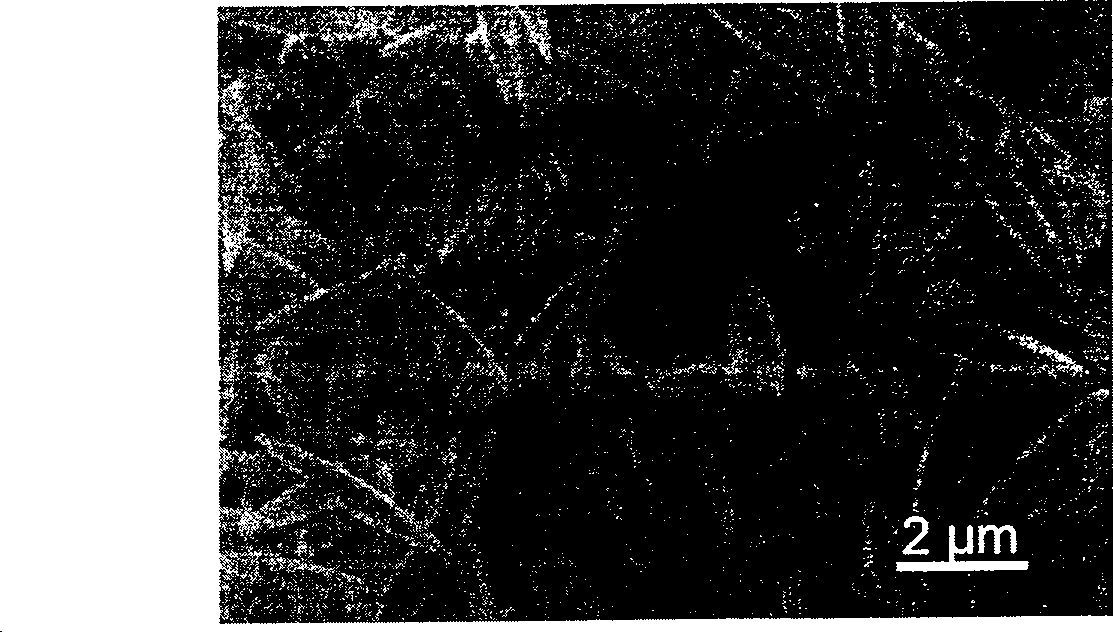 Particle appearance regulatory lithium iron phosphate preparation method