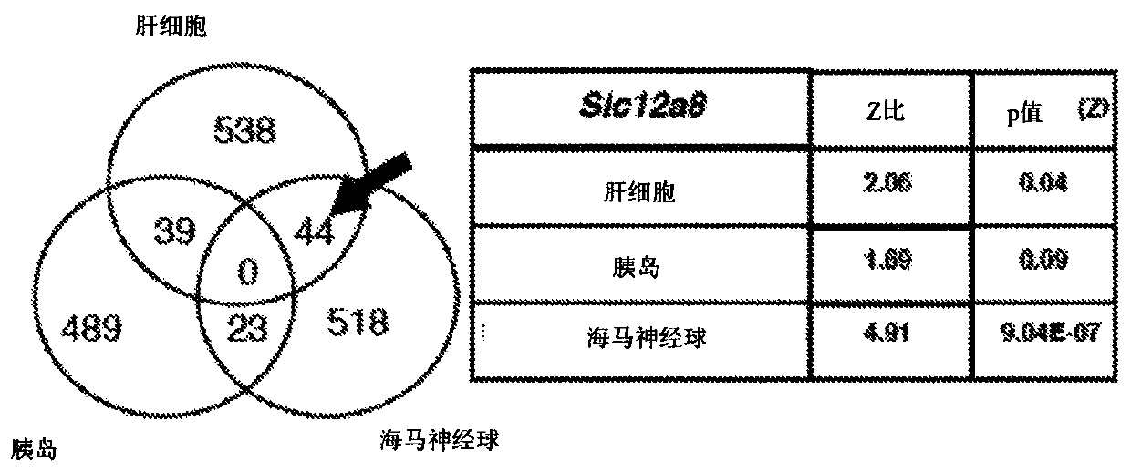 Compositions and methods of treatment using nicotinamide mononucleotide