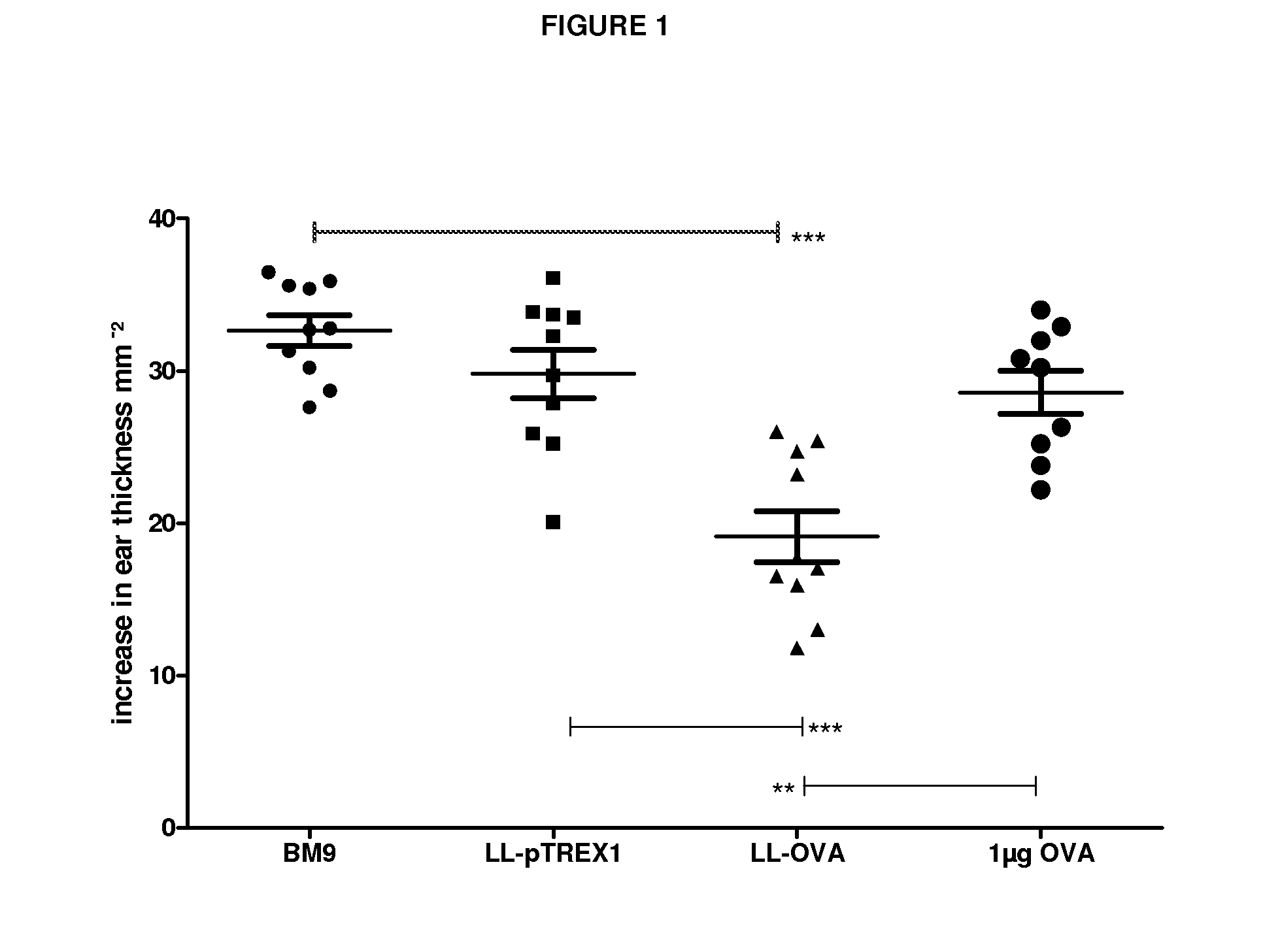 Treatment of immune disease by mucosal delivery of antigents using genetically modified lactobacillus