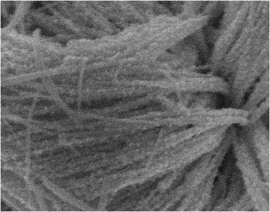 Sulfur group hetero-structure nano material, preparation method and application thereof