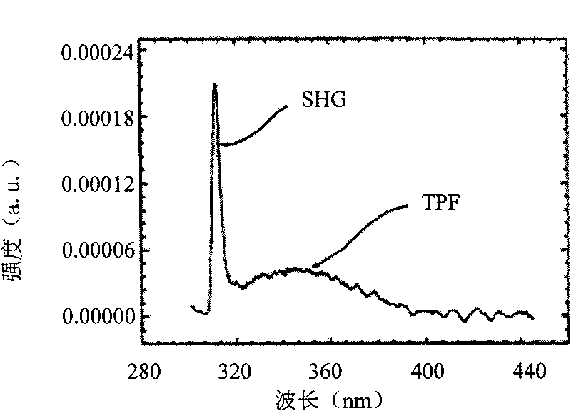 Method for imaging live nucleus and cytoplasm and application thereof in monitoring live nucleus and cytoplasm signal pathway