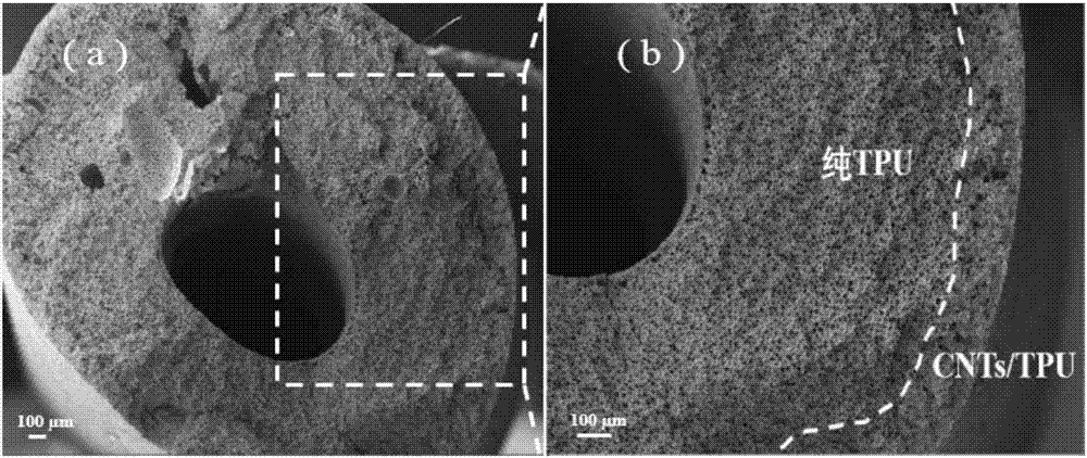 Conductive polymer composite fiber with skin-core structure and preparation method thereof