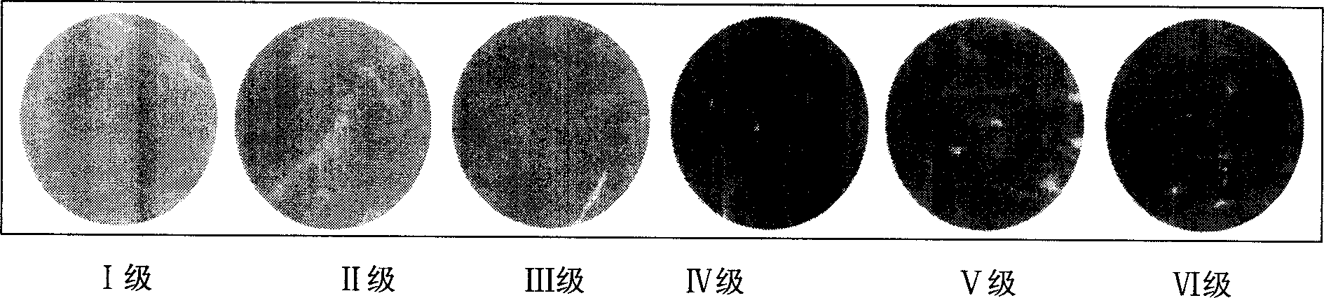 Method for grading pork based on its color and quality