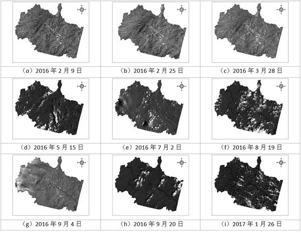 A Method for Determining the Optimum Period of Remote Sensing Diagnosis of Hazards of Phyllostachys spp.