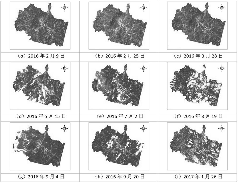 A Method for Determining the Optimum Period of Remote Sensing Diagnosis of Hazards of Phyllostachys spp.