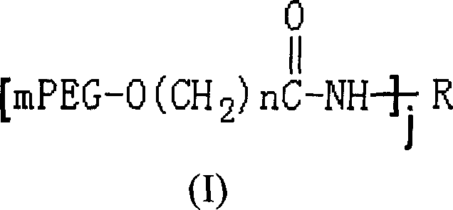 Polyethylene glycol modified L-asparaginyl amine enzyme