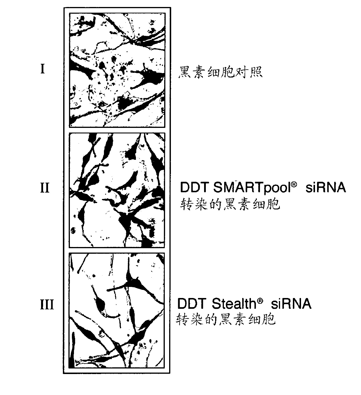 Method and composition for color modulation