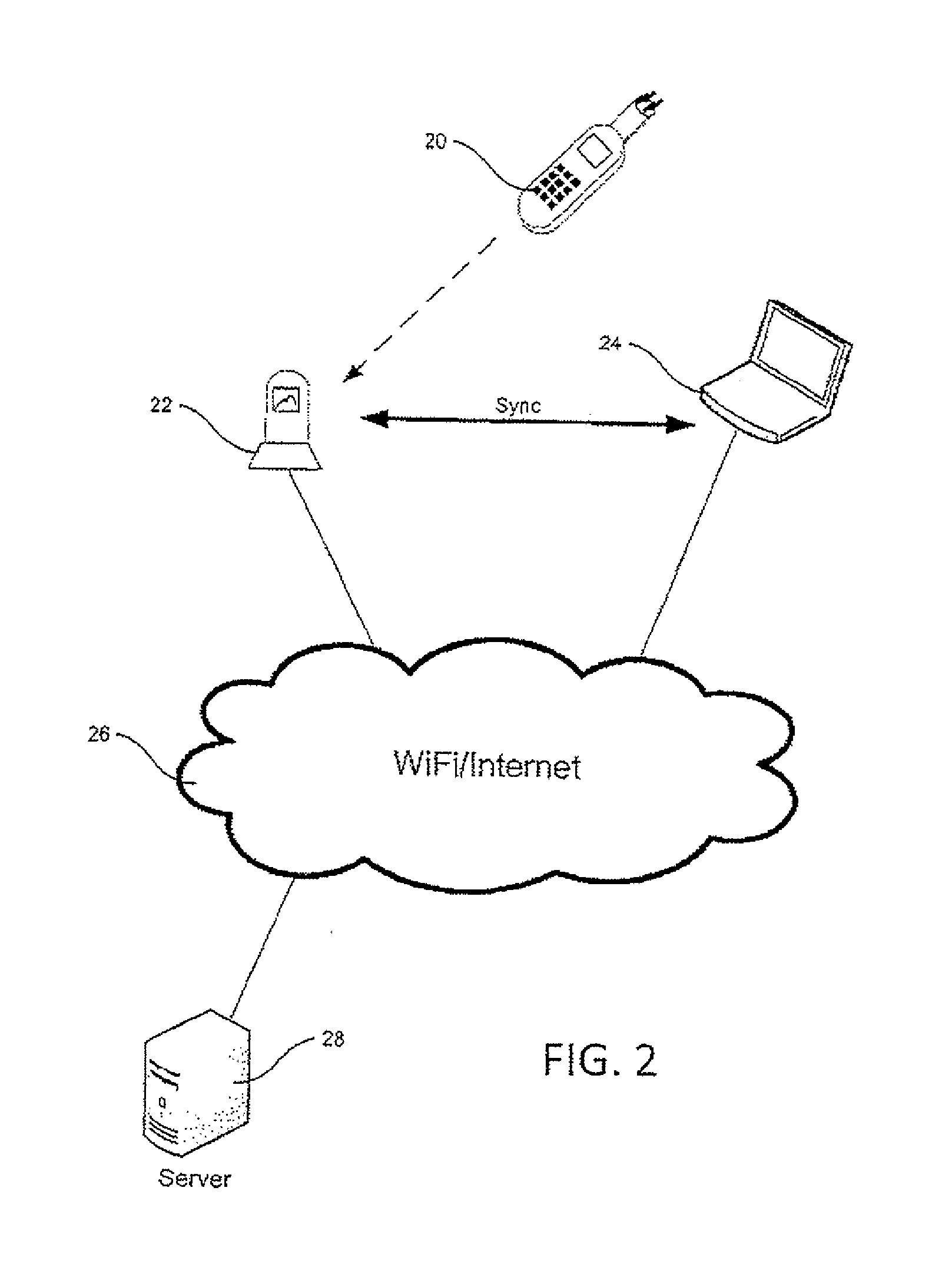 Whole Body Infrared Thermography Systems And Methods