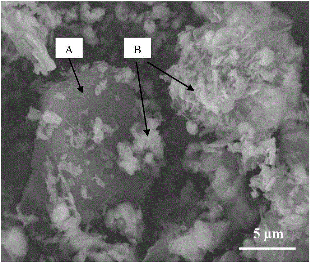 Selective laser sintering based preparation method of complex-structure porous ceramic