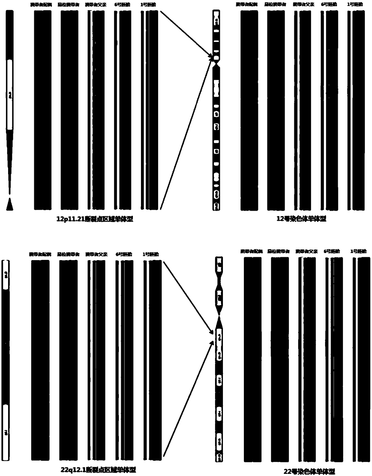 A method for distinguishing between embryos carrying balanced chromosome translocations and normal embryos