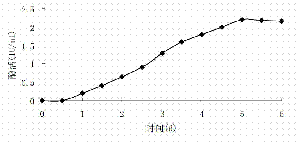 High-activity composite cellulase and preparation thereof, and application method for same in enzymatic saccharification of wood fiber