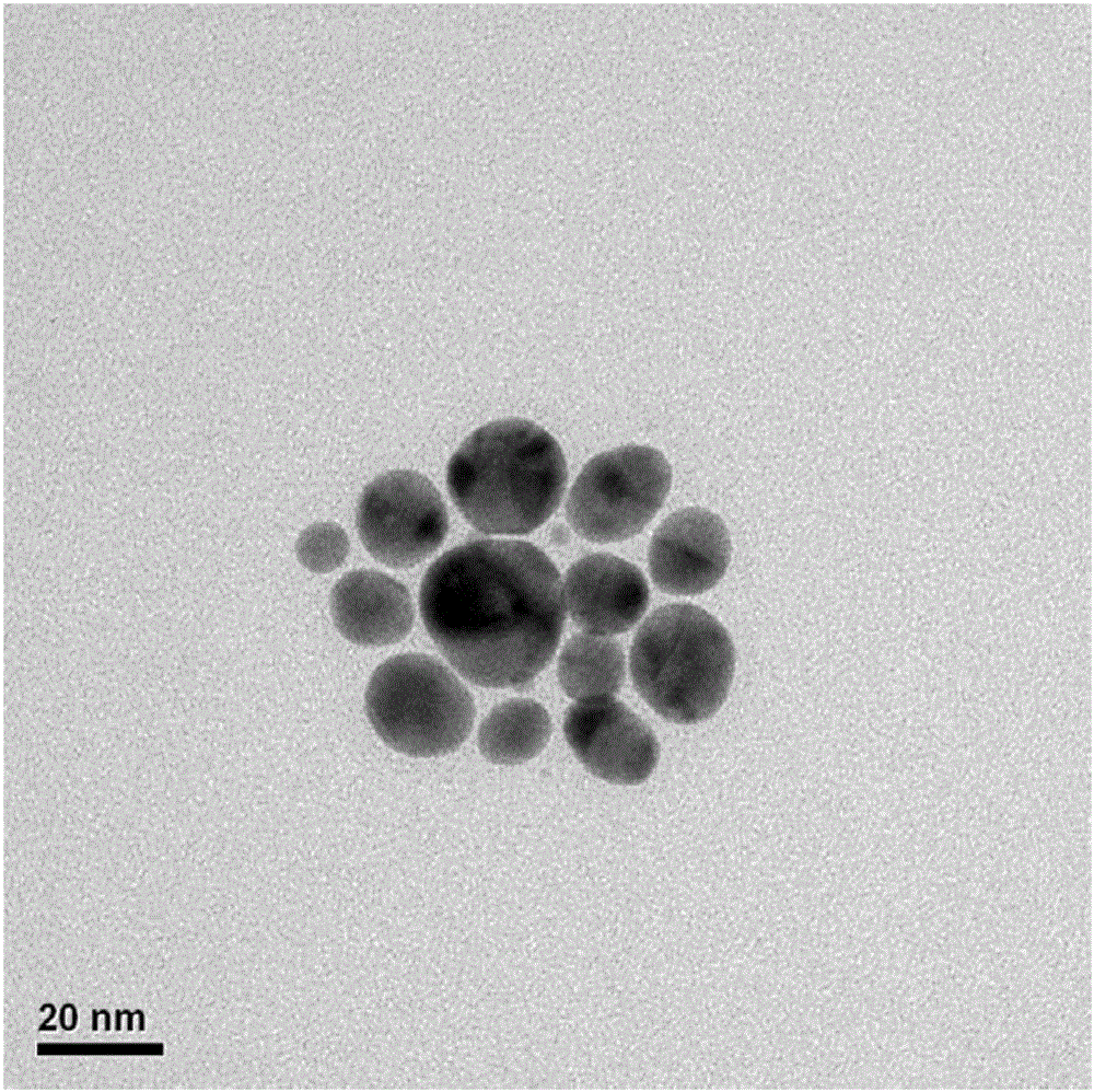 Reduced graphene/ferroferric oxide/precious metal nanocomposite and preparation method and application thereof