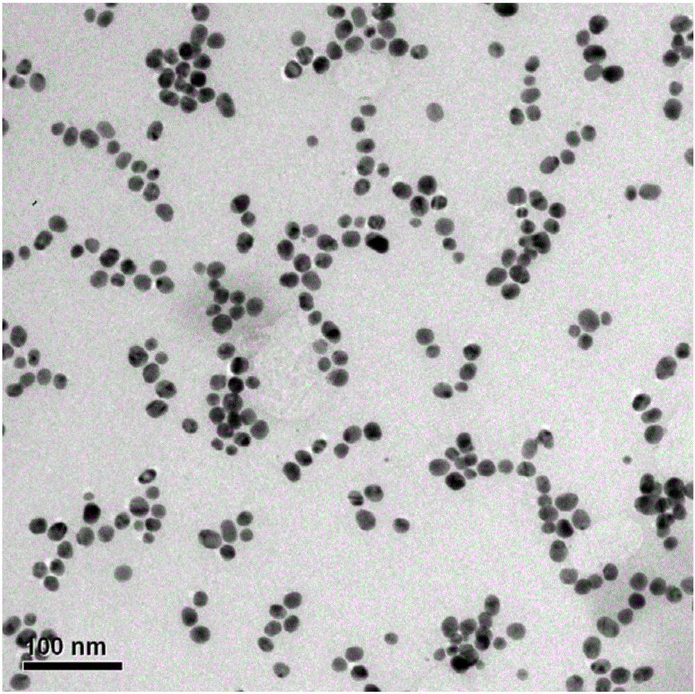 Reduced graphene/ferroferric oxide/precious metal nanocomposite and preparation method and application thereof