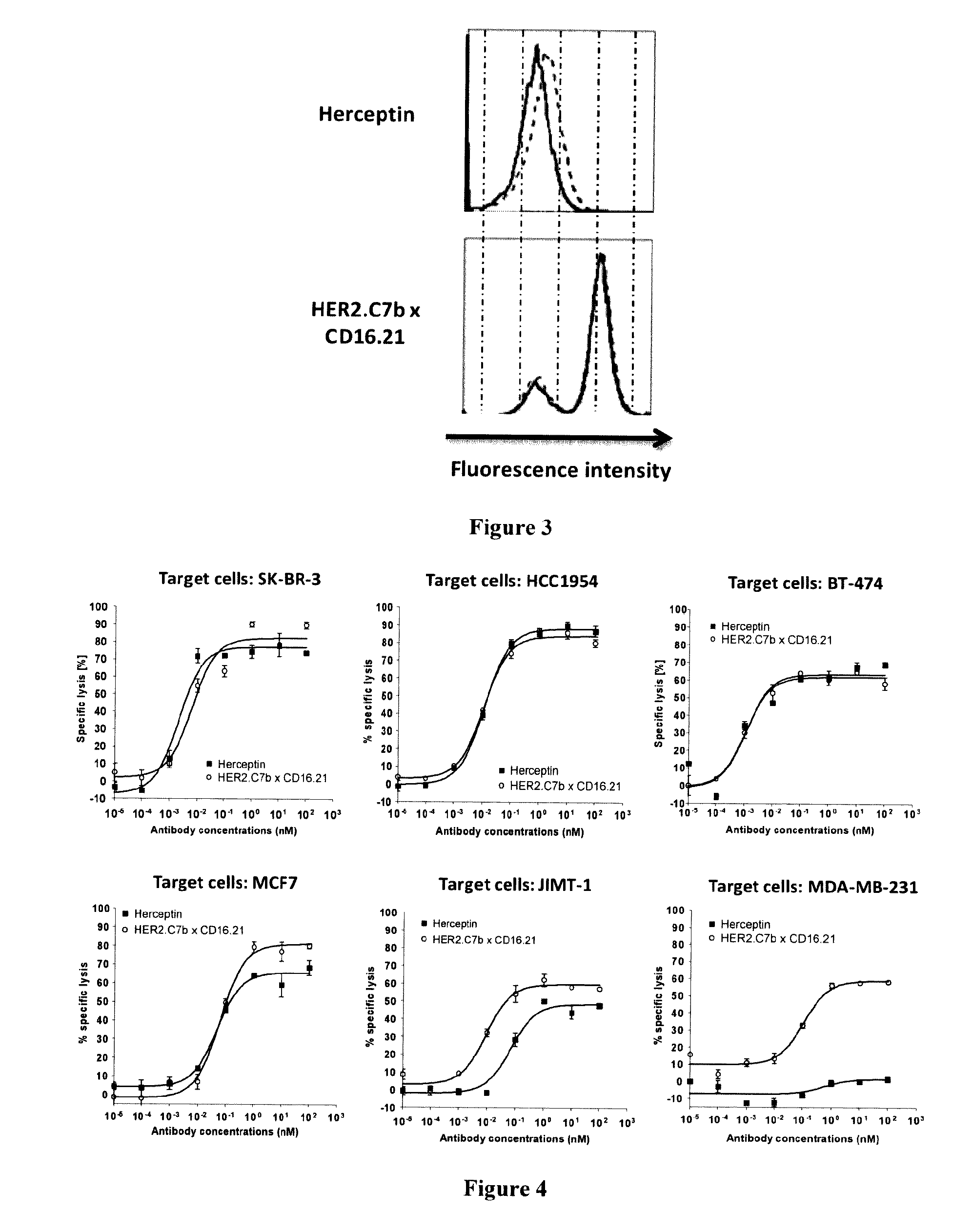 Anti-her2 single domain antibodies, polypeptides comprising thereof and their use for treating cancer