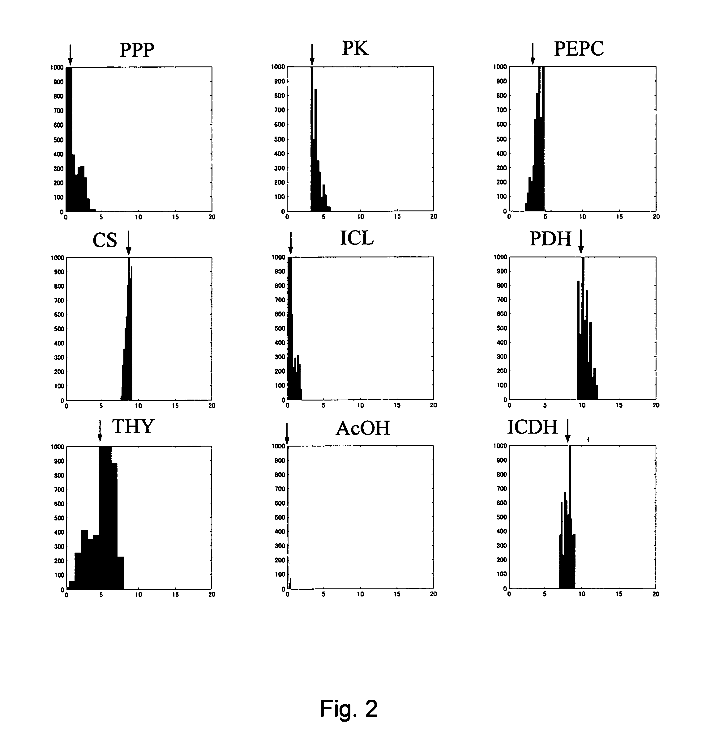 Method for determining metabolic flux