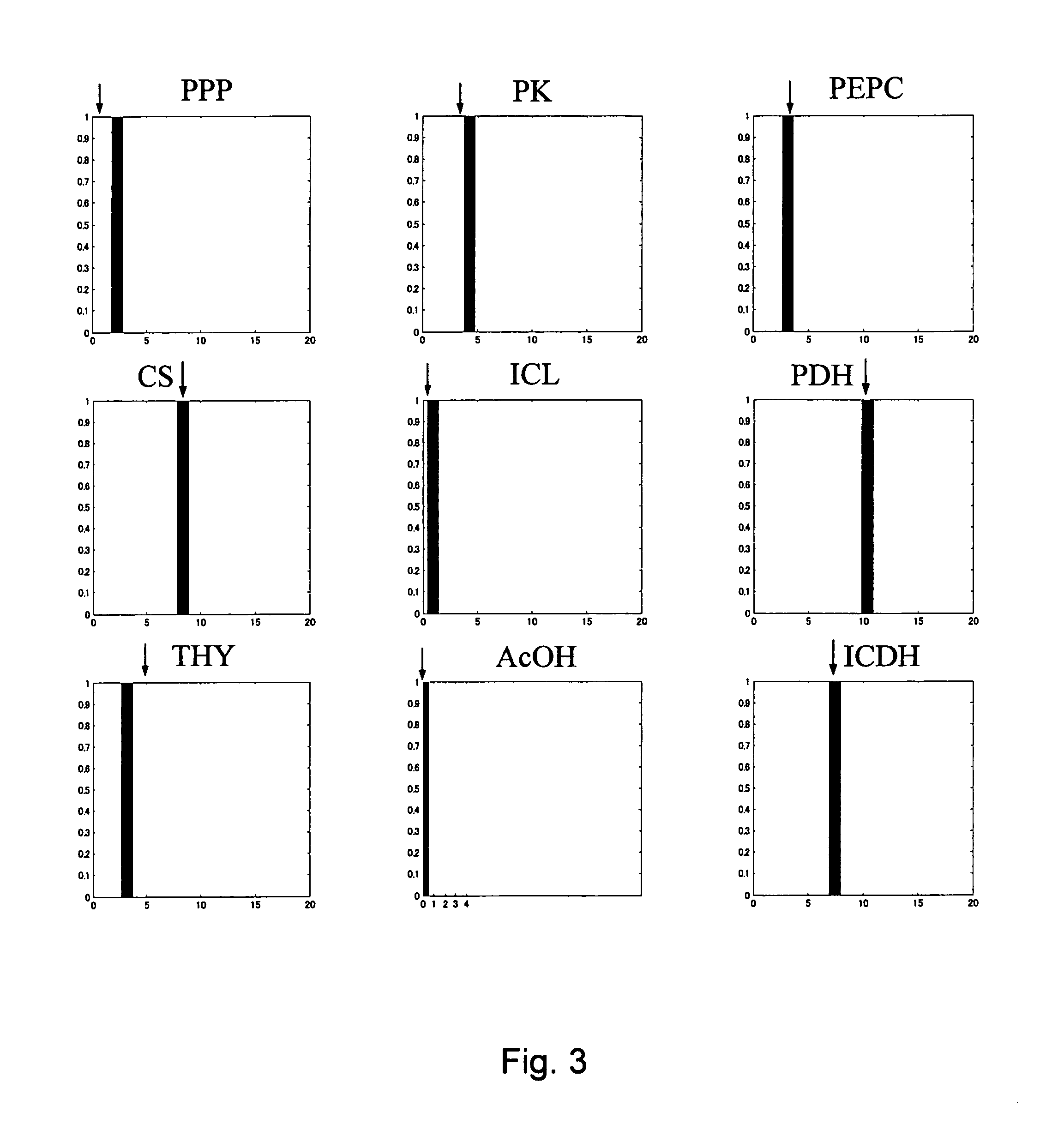 Method for determining metabolic flux