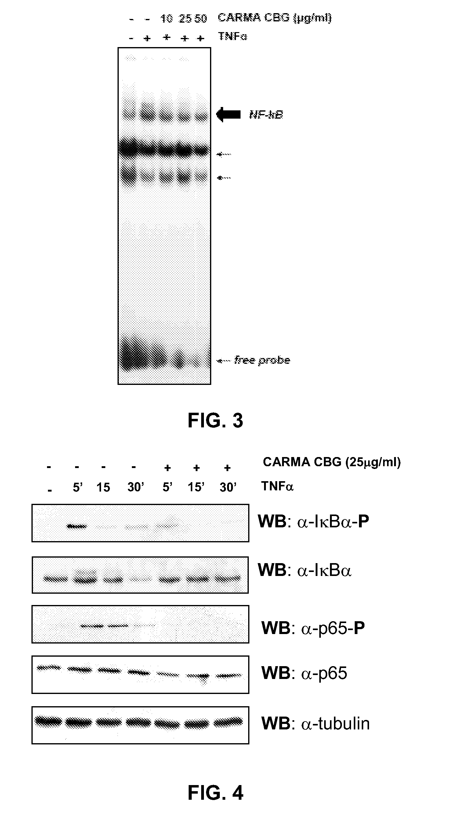 Composition containing non-psychotropic cannabinoids for the treatment of inflammatory diseases