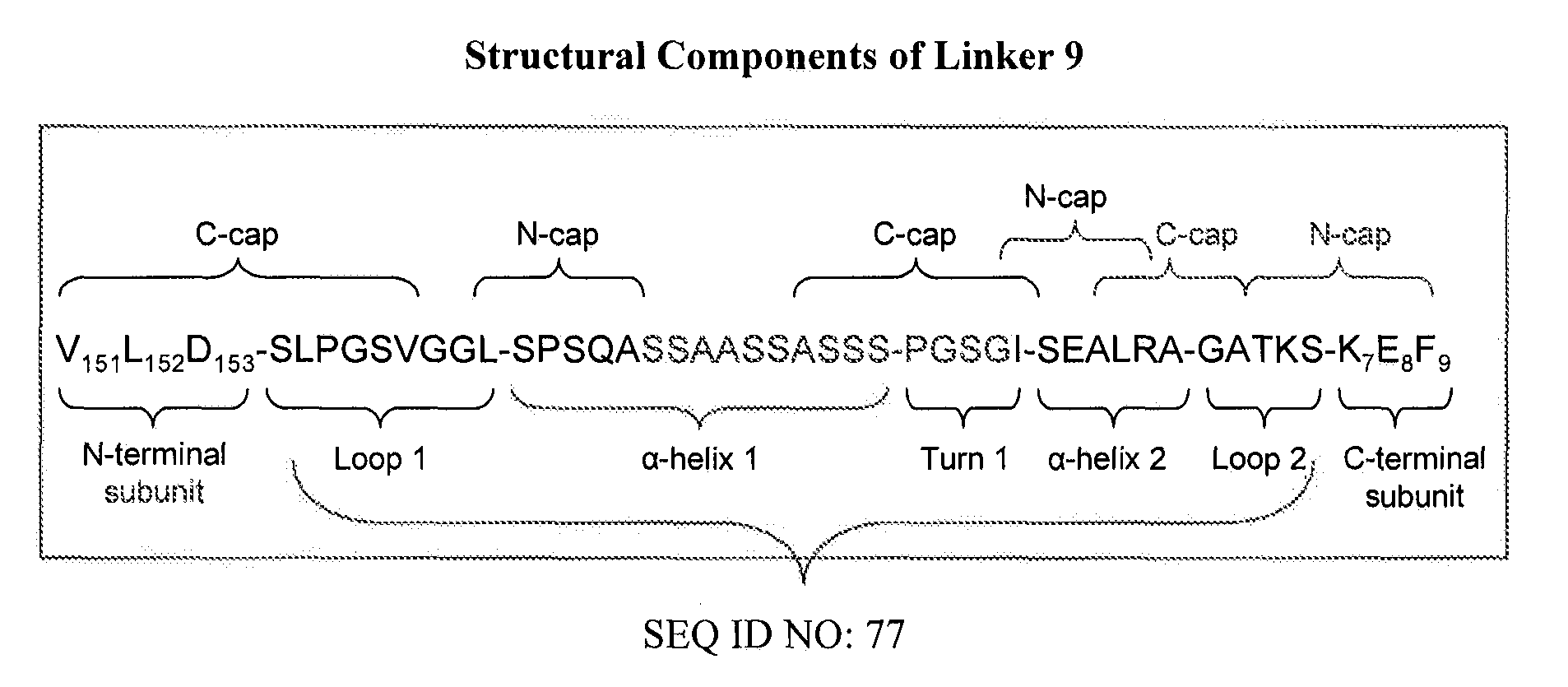 Rationally-designed single-chain meganucleases with non-palindromic recognition sequences