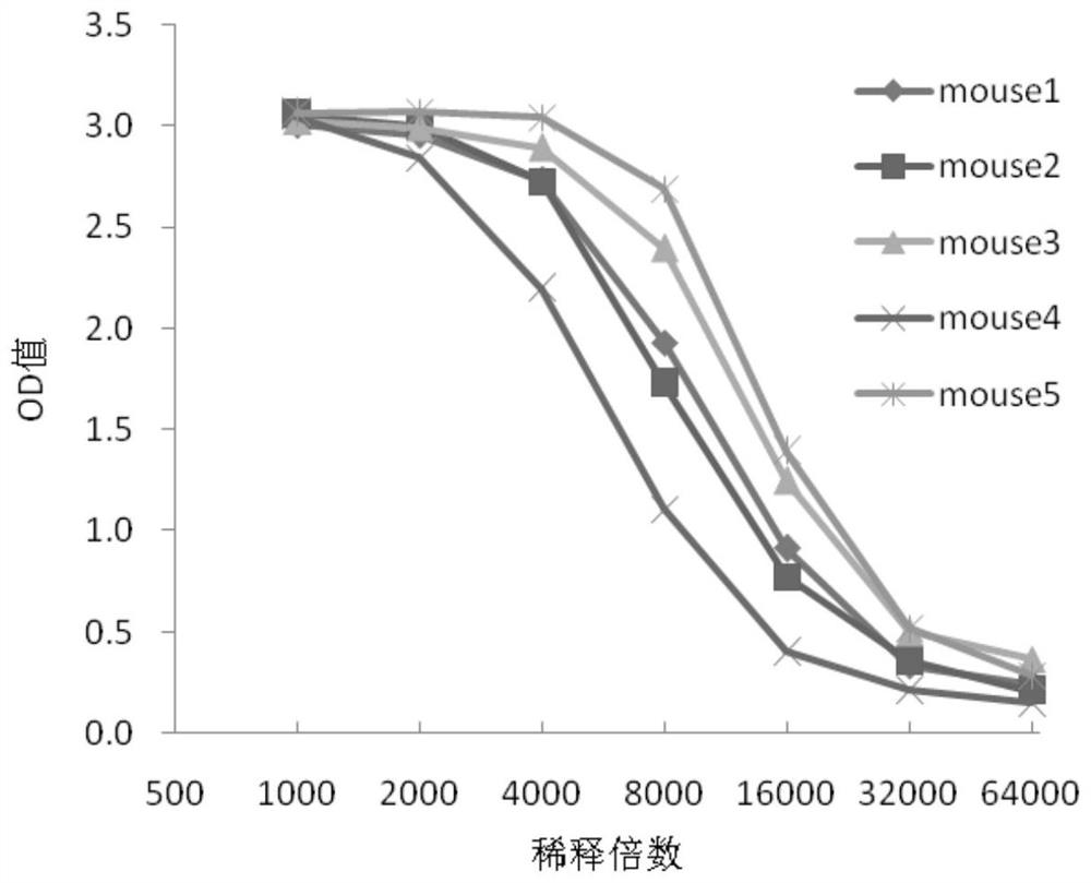 A mouse-derived monoclonal antibody neutralizing type A botulinum toxin and its application