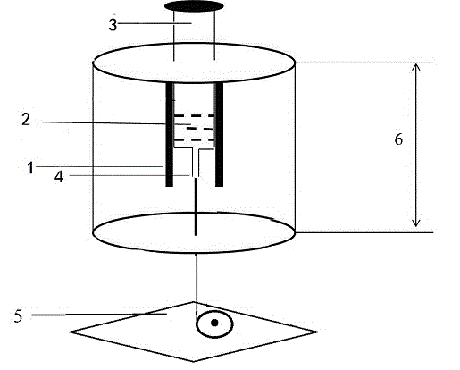 Nylon 6 melt spinning method and device under external field condition