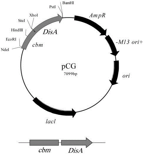 Continuous c-di-AMP production method