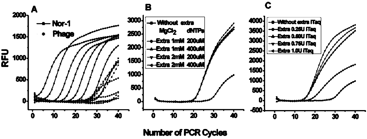 Method for identifying and evaluating toxigenic capability of toxigenic strain of aflatoxin