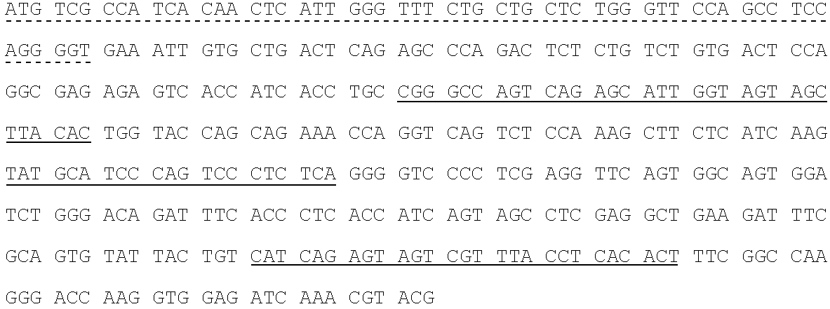 Neutralizing human anti-IGFR antibody