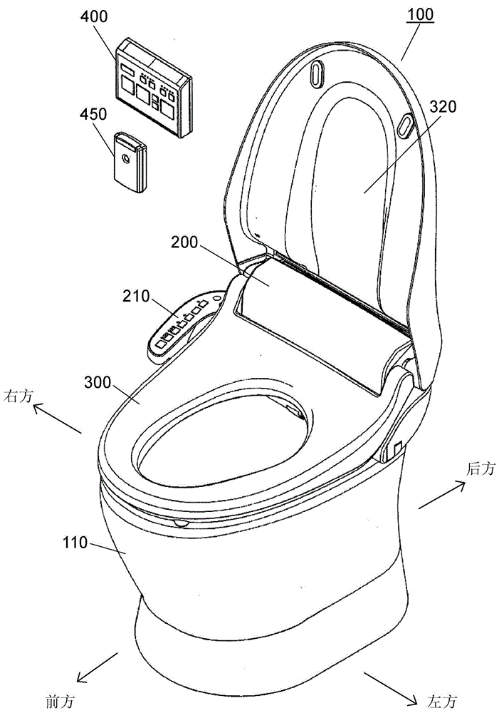 Sanitary cleansing device