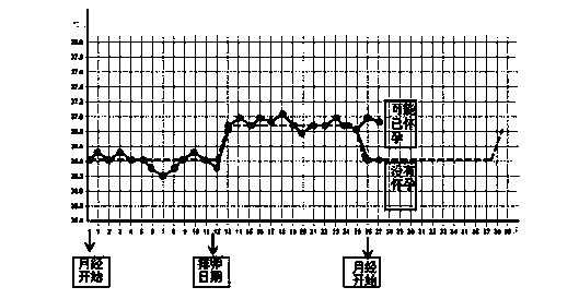 Device and method for forecasting ovulatory and child-bearing periods