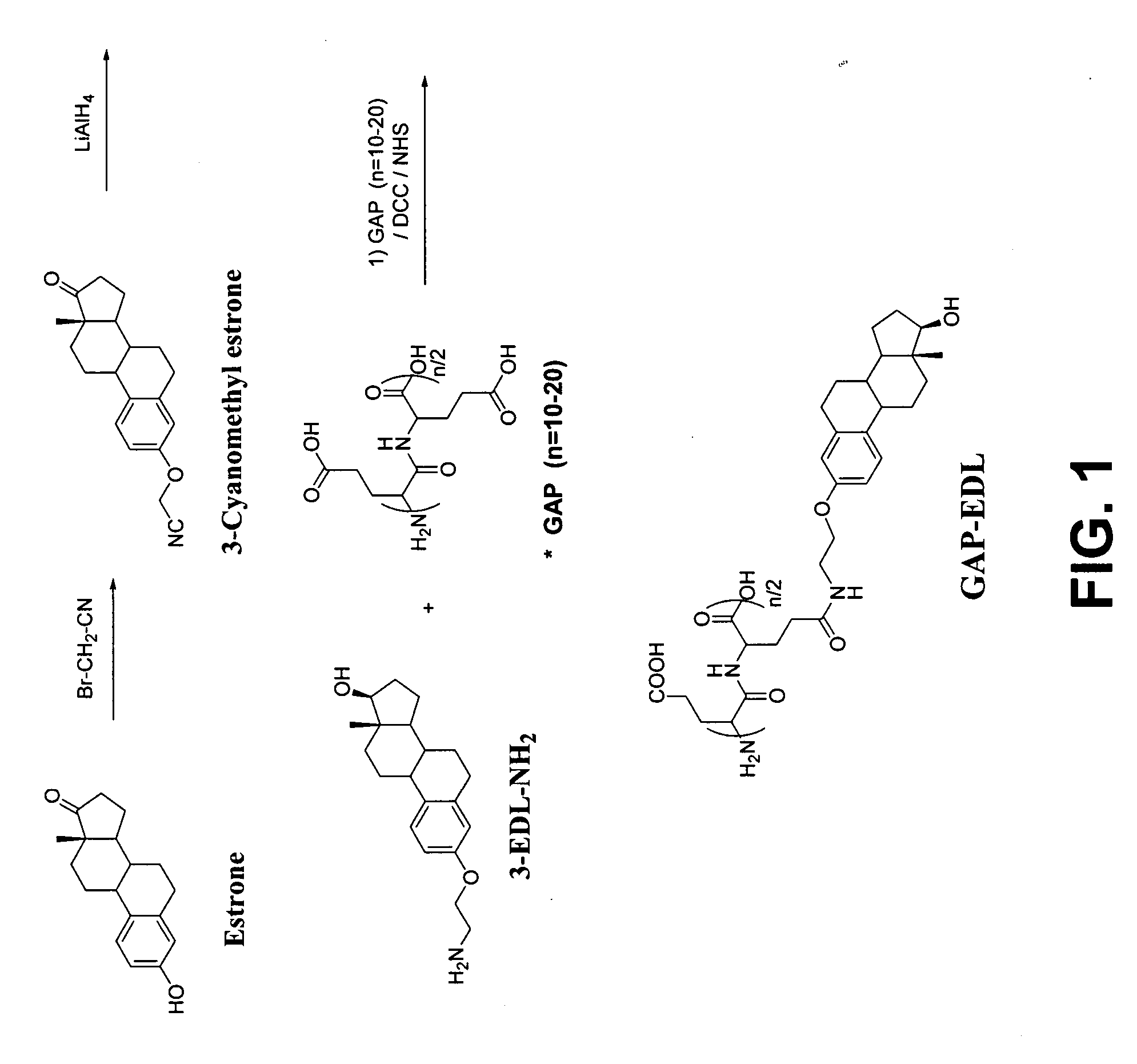 Poly(peptide) as a chelator: methods of manufacture and uses